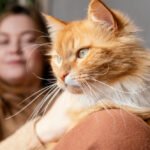 Close up blurry woman with cat