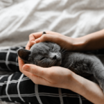 girl in pajamas holds her beloved cat in her arms.