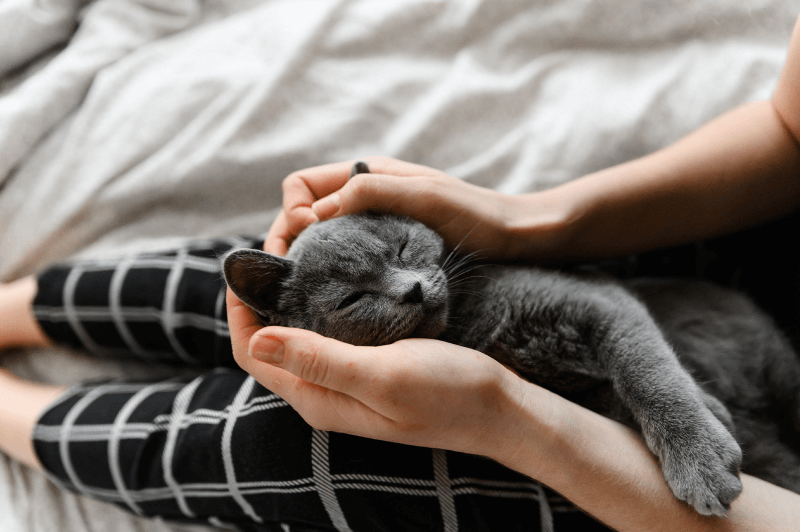 girl in pajamas holds her beloved cat in her arms.