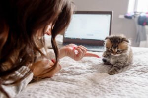 women interacting with kitten